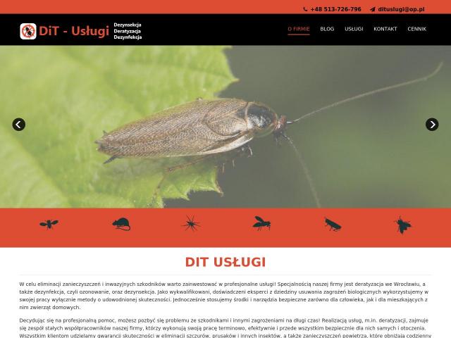 Zobacz DiT-Usługi